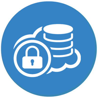 Secure Storage Icon