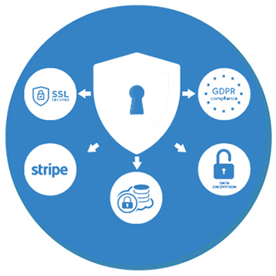 Data Encryption Icon